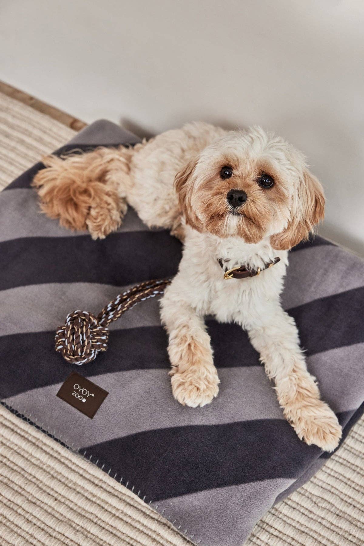 OYOY LIVING DESIGN - Kaya Dog Blanket - Small