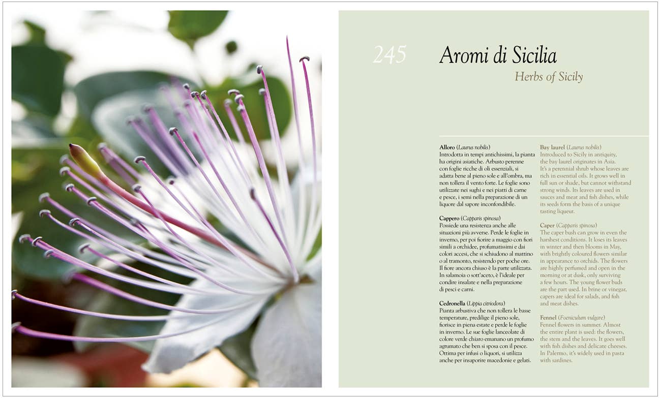 Sunset & Venice - Sicilia in Cucina: The Flavours of Sicily