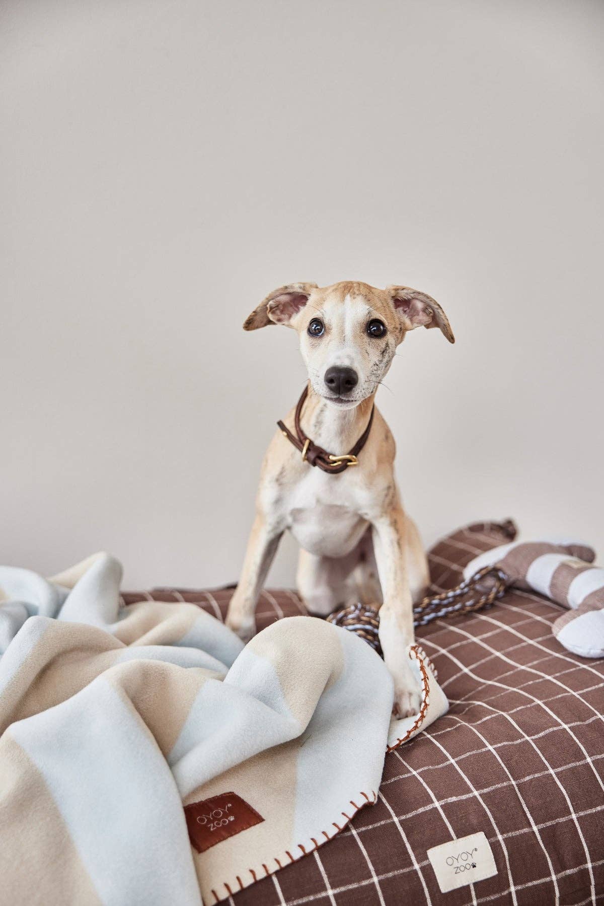 OYOY LIVING DESIGN - Kaya Dog Blanket - Small