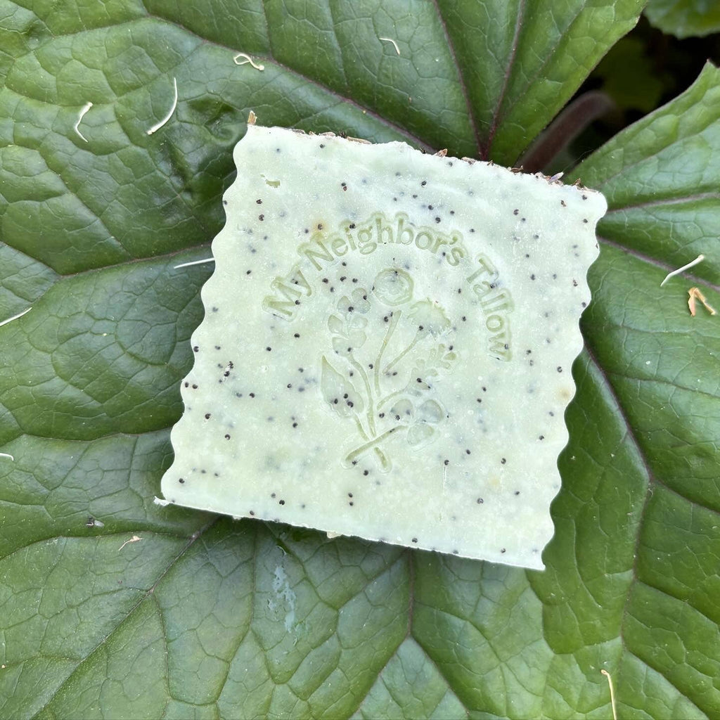 My Neighbor’s Tallow - Blue Tansy, Raw Honey & Poppy Seed Tallow Soap