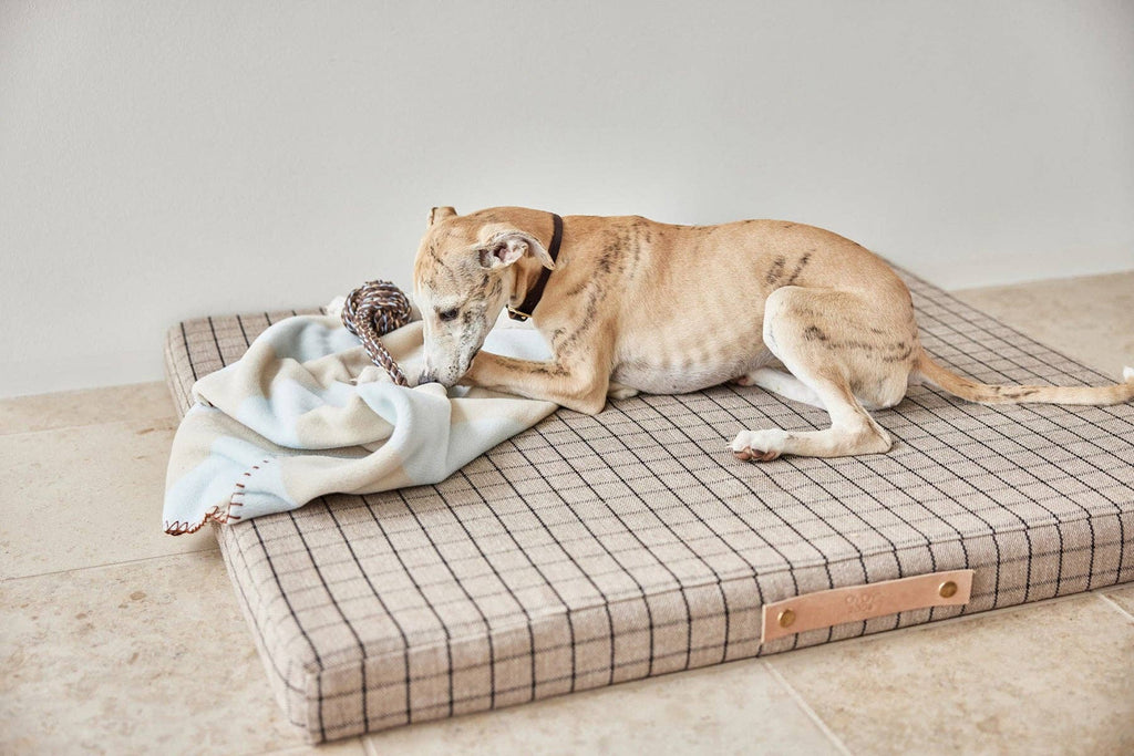 OYOY LIVING DESIGN - Kaya Dog Blanket - Small