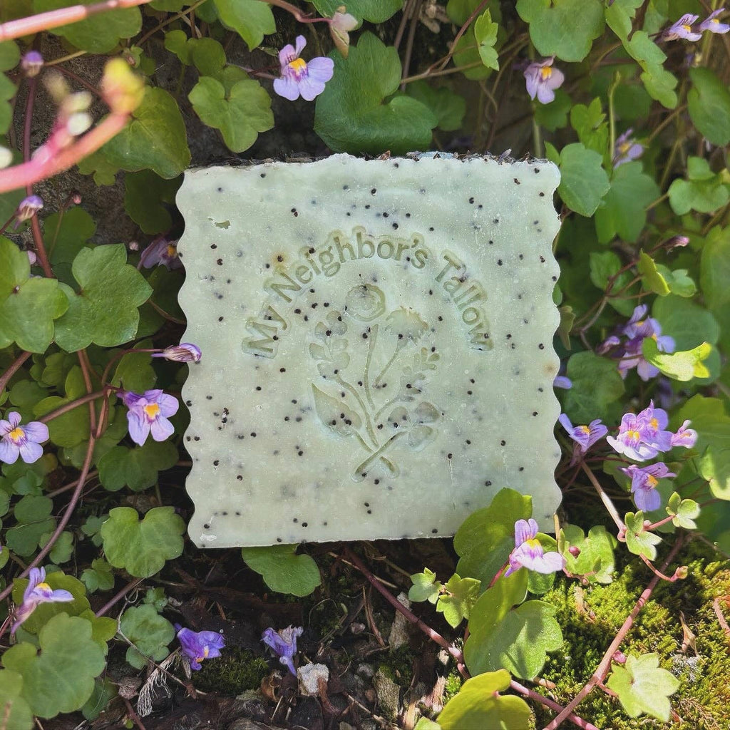 My Neighbor’s Tallow - Blue Tansy, Raw Honey & Poppy Seed Tallow Soap