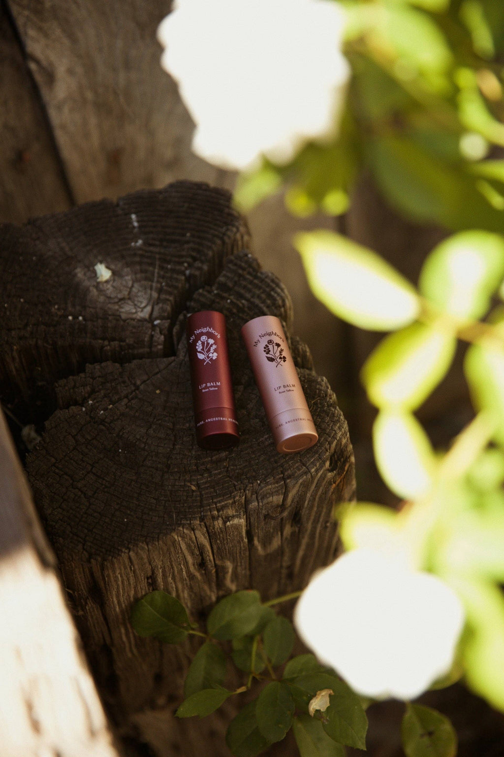 My Neighbor’s - Rose Tallow Lip Balm (tinted)