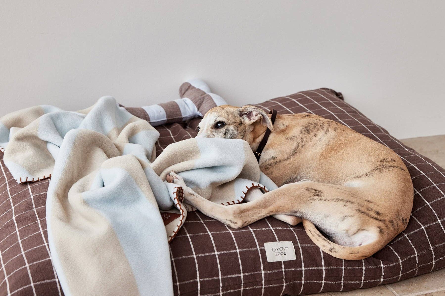 OYOY LIVING DESIGN - Kaya Dog Blanket - Small