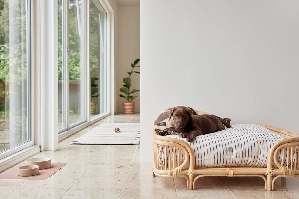 OYOY LIVING DESIGN - Kaya Dog Blanket - Small