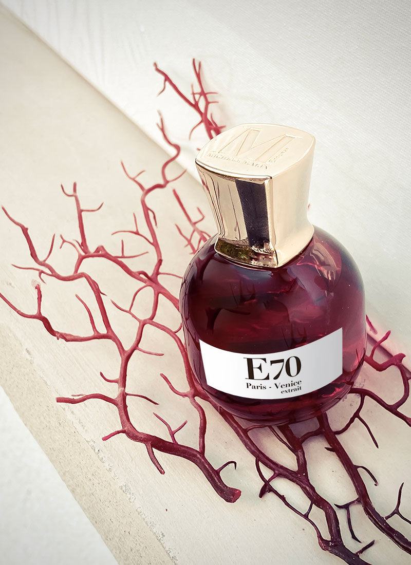 Michele Marin E70 Paris Venice